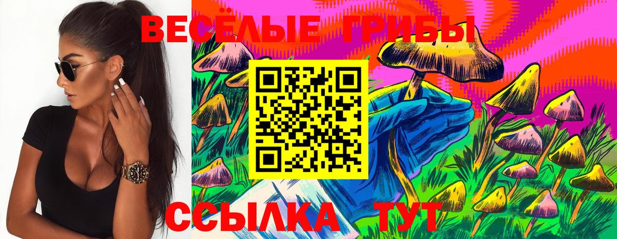 Галлюциногенные грибы Psilocybine cubensis  Псилоцибиновые грибы Magic Shrooms  Вход с VPN  Нововоронеж 